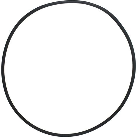 Collier de Serrage et Joint d’Étanchéité Pentair 39010200 – pour Filtres CCP 520/420/320 (1/3)