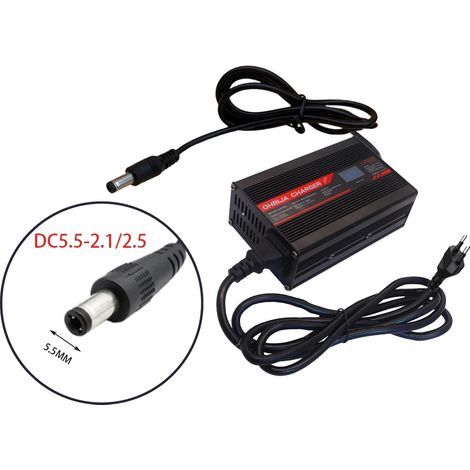 Chargeur de batterie Lithium-Ion 50,4V, courant de sortie 5A, multiples fonctionnalités de protection (1/2)
