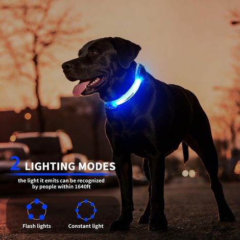 Collier LED de sécurité pour chien - Bande lumineuse rechargeable à scratch pour laisse, harnais et collier (1/5)