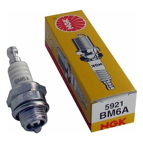 NGK BM6A spark plugs are compatible with CHAMPION CJ8 and Denso W20MUS quick-start engines. (1/5)