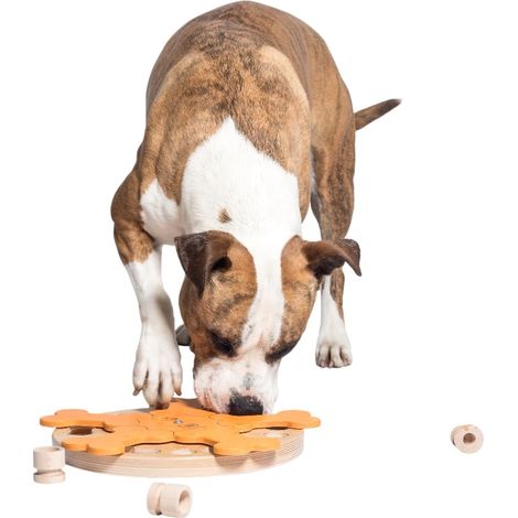 Jouet Chien Occupation – Jouet Interactif Chien pour Entraînement Mental - Jeu Intelligence, Jouets pour Chiens Stimule Le Cerveau et Réduit l’Ennui - Carousel of Bones (1/5)