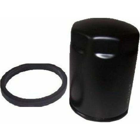 Externer Kraftstofffilter DIESEL Landwirtschaftsmotor RUGGERINI RF RD hoch 07.054 175.19