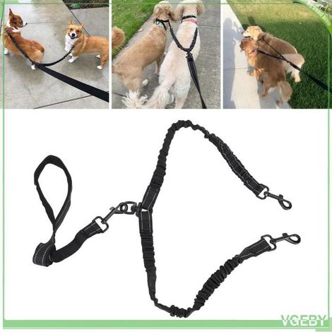 Laisse double pour chien - FAFEICY - Laisse double élastique - Réfléchissante - Amortissement - Nylon robuste (1/5)