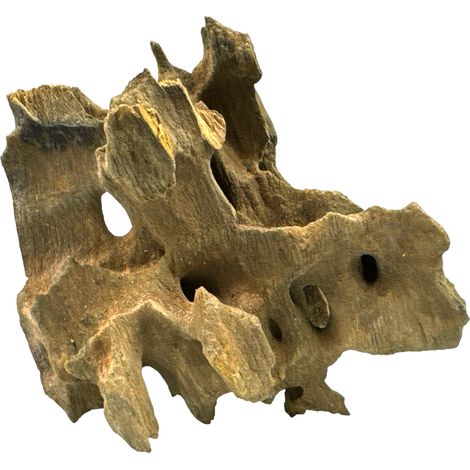 BioRoot Dragon Wood S / 10-20cm / Radice di drago per terrari e acquari (1/5)