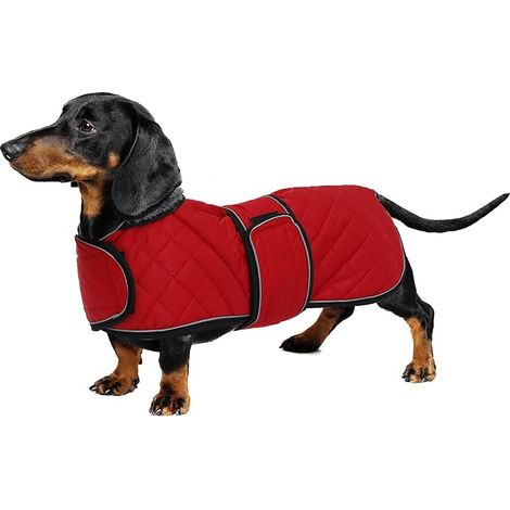 Cappotto caldo e impermeabile per bassotti, cappotto invernale per cani con fodera in pile calda e cinturini regolabili, giacca invernale per cani di piccola e media taglia, rosso-XS (1/5)