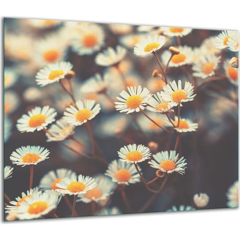 GLASSCHUTZPLATTE FÜR HERD 60x52 BLUMEN (1/5)