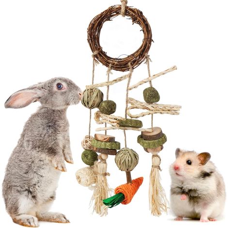 1 Ensemble Jouet, Matériaux naturels, Foin Timothy, Crochets en bois, Cage petits animaux (1/5)