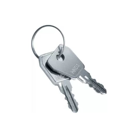 Hager Ersatzschlüssel Volta f.Schloss VZ302N VZ304N (1/2)