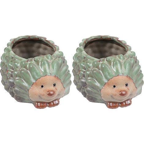 Lot de 2 pots de fleurs pour plantes succulentes (1/3)