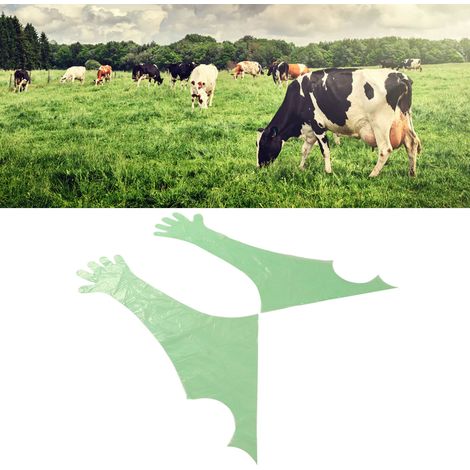 Lot de 50 gants longs jetables en PE vert pour examen vétérinaire et insémination artificielle chez les animaux (1/5)