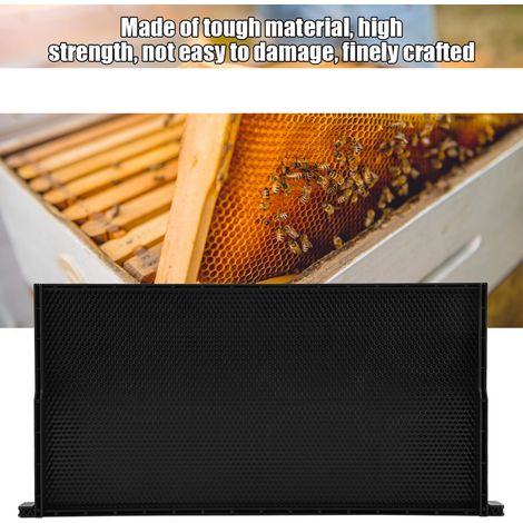 Cadres de ruche automatiques pour abeilles, kit d'apiculture, boîte de pollinisation, ruche King 48 x 23 cm