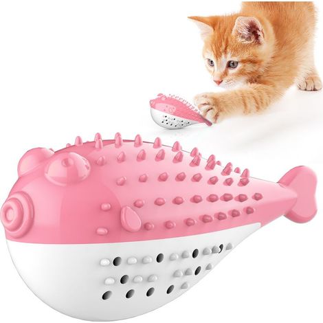 Fournitures pour animaux de compagnie, jouets à mâcher sonores, herbe-aux-chats, poisson-globe, jouets de dentition pour chat (1/5)