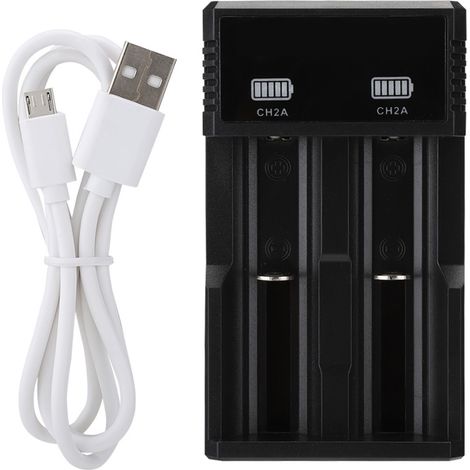 Chargeur universel USB double fente pour batteries 26650 18650 18500 18350 (1/5)