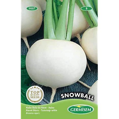 graines Navet blanc Snowball EC9007 (1/2)