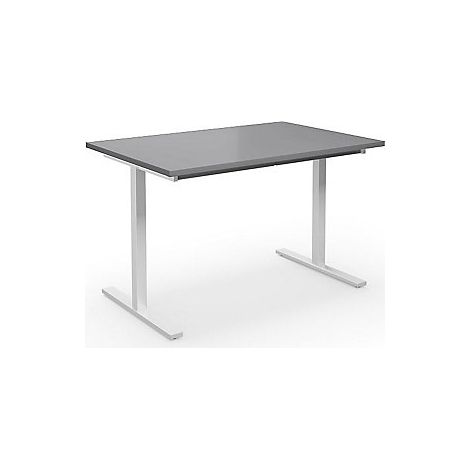 Mesa multiusos DUO-T  tablero recto  H x P 740 x 800 mm 