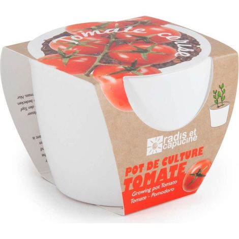 Pot de culture en céramique - Tomates Cerise bio - 8 cm