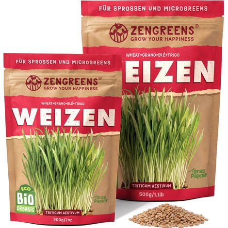 Bio Keimsaat Weizen 200 g Sprossen und Microgreens ZenGreens (1/5)