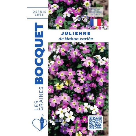 Julienne de Mahon variée - 3g