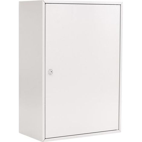 Schlüsselschrank S 300 H550xB380xT205mm 1-türig Zylinderschl.Anz.Hak.300 ROTTNER (1/2)