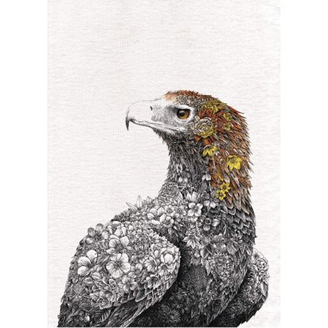 Serviette de Table 100% Coton, Imprimé d'Aigle Australien, 50 x 70 cm - Multicolores (1/5)