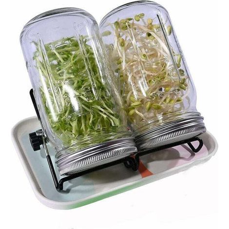 Germeur de graines de 946 ml (32 oz) avec couvercles en acier inoxydable, plateau, support et distributeur de graines (1/4)