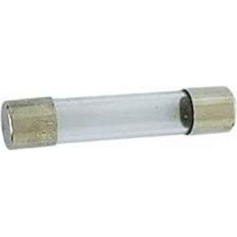 Fusible - 6 x 32 mm - Retardé 0 25 A - 250 V CA - Verre Avec Connexions Argentées - 10 Pièces (1/2)