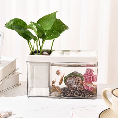 Aquarium De Bureau - Bac À Poissons En Verre Trempé Avec Support À Stylos - Pour Betta Et Petits Poissons - 17,1 x 10,5 x 8 cm - 1 Pièce