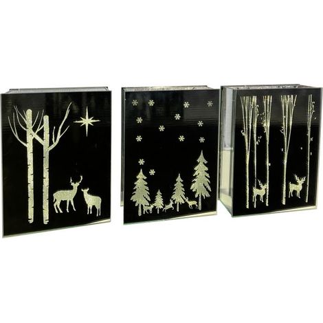 LIBRO VETRO MIRROR C/DECORI H.21 CM C/LUCE LED A BATTERIE PREZZO CAD UNO