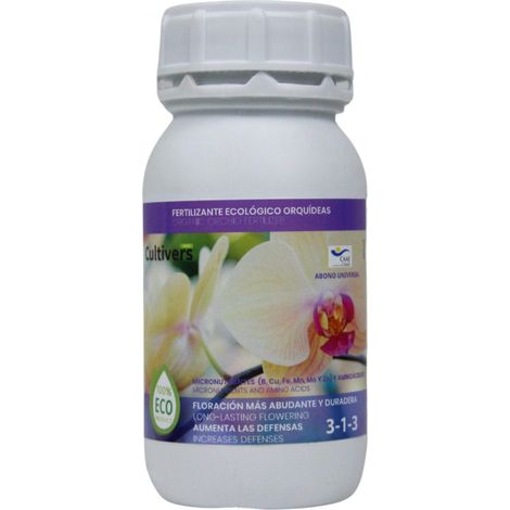 Kultiver kolischer Lychid Orchide 250 ml