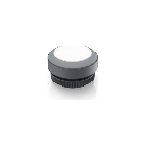 RAFI 1.30.270.001/2208 RAFIX 22 FS Bouton-poussoir lumineux à rappel à rappel (L x l x H) 29.8 x 29.