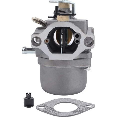 Carburateurs Briggs & Stratton 285707 289707 28B705 28M707 Pièces de moteur