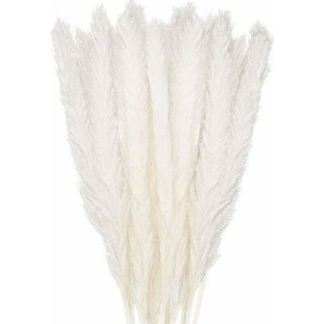 30 pcs Herbe de la Pampa, 58 cm Naturel Pampa Fleur Bouquet de Fleurs Sechees pour Vases, Blanc Boho Decoration Chambre Maison Salon, Mariage Photographier Table Décoration (1/4)