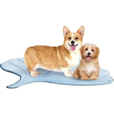 Rafrachissant pour Chien Couverture Rafrachissante M (1/5)