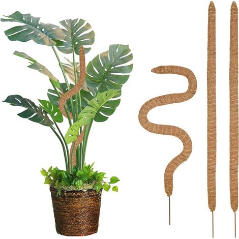 (attache plastique de 20 m) Tuteur en fibre de coco flexible pour plantes grimpantes, support d'extension pour palmiers et vignes, décoration florale d'intérieur, balcon, jardin ou cour (1/4)