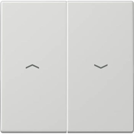 Jung Wippe 2fach, mit Pfeilsymbolen, Duroplast, Serie LS, lichtgrau LS 995 P LG (1/2)
