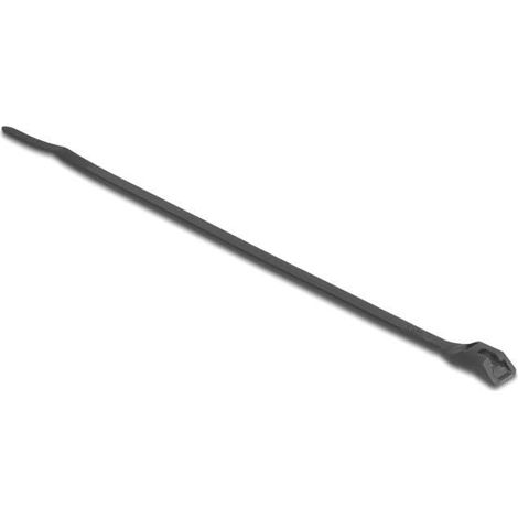 DELOCK KABELBINDER AVEC FLACHEM KOPF L 205 X B 2,5 MM 100 PIÈCE NOIRE 19466