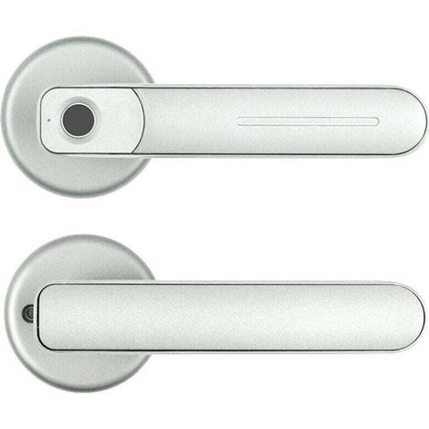 Elektronisches Fingerabdruckschloss, Türgriff – Fingerabdruck- und Smartphone-Schloss (silber) (1/4)
