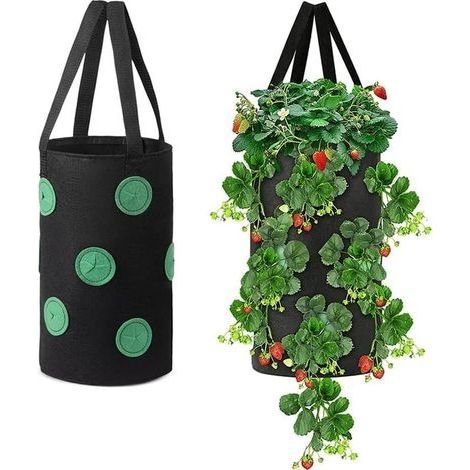 2 Pcs Fraisiers Sacs de Culture,Sac Plantation Fraises,Fraises Sac Culture Respirant,Sacs à Fraises Suspendu,avec Ouvertures Latérales et Poignées,pour Fraises,Légumes,Fleurs(Noir) (1/5)