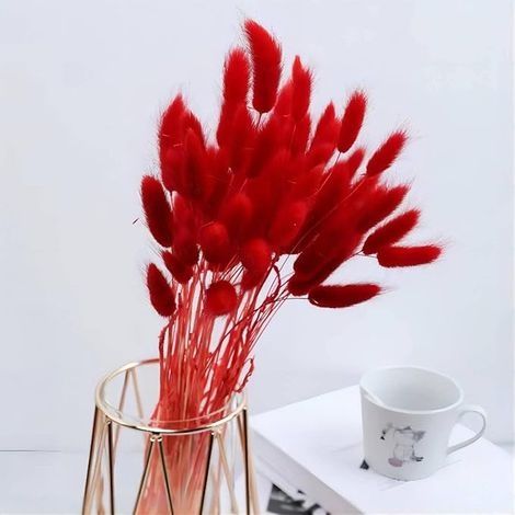 40 herbes de la pampa séchées - Pas d'odeur - Fleurs séchées - Ne se fanent jamais - Décoration florale naturelle - Décoration bohème - Particulièrement moelleuse (rouge à l'ancienne) (1/3)
