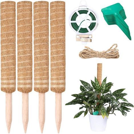 4 Pièces tuteur plante grimpante 40cm, Piquets de Jardin en Coco pour Plante, tuteur monstera, avec des étiquettes en bambou pour plantes d'extérieur x50, et des attaches de jardin x 20m. (1/5)