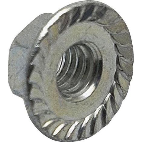 Écrou BRIGGS & STRATTON 703330