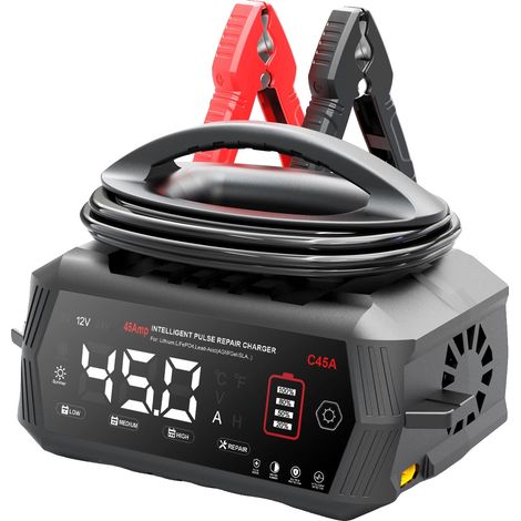 Caricabatterie, funzionamento automatico, supporto di tensione versatile, spina europea da 45 A (1/2)
