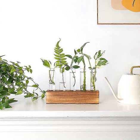 Lot de 5 tubes à essai en bois massif avec vase et base en bois massif pour culture hydroponique de fleurs et plantes. (1/5)
