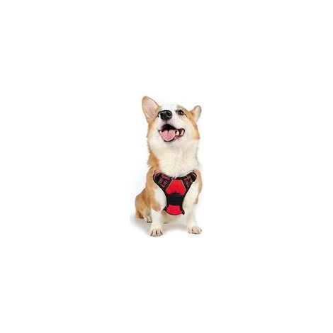 Harnais chien anti-traction rouge M, gilet réfléchissant réglable, attache devant, pour Bouledogue Français, Berger Australien, randonnée, voiture – (1/5)