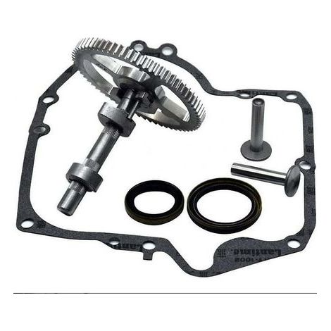 Kit de remplacement d'Arbre à cames - Briggs & Stratton, 793880 793583 792681, Avec joint d'huile et joints de carter, Ruikalucky 697110