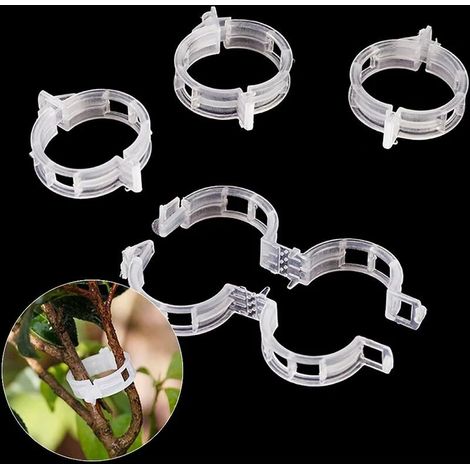200 pinces de support pour plantes, mini pinces en plastique pour tomates, roses, pivoines, orchidées (1/5)