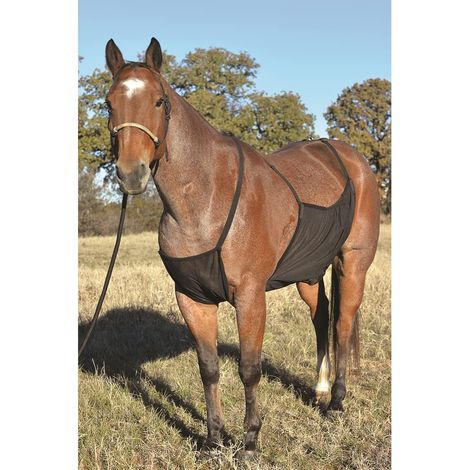 Protecteur de ventre pour cheval taille M noir, protection de la poitrine au flanc contre les mouches, sangles souples ajustables et sécurisées, équipement équestre confortable pour l'été (1/5)