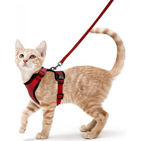 1pc (XS-Red) Cat Harness Leash Small Dog Adjustable Kitten Harness Red Reflective Collar Breathable Vest Rabbit (1/3)