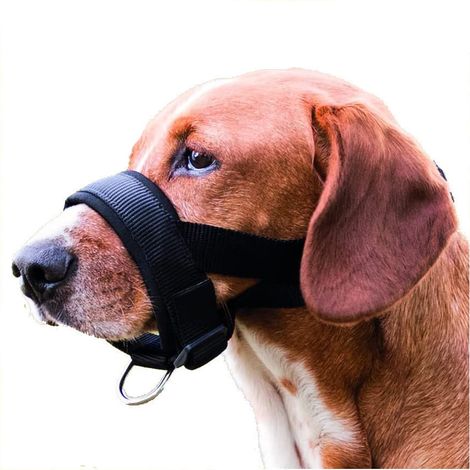 Trixie Loop Muzzle XL noir pour chien sécurité confort (1/7)