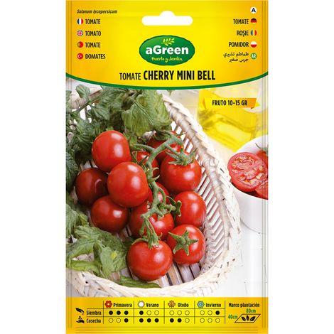 Graines Tomate Mini Bell Tomate Cerise Compacte, Idéale Pour Le Jardinage En Pot - Agreen (1/2)